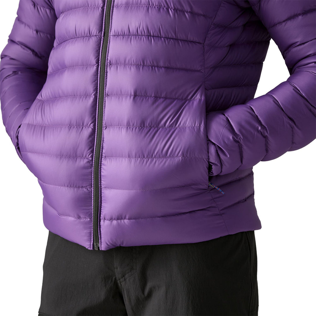 Patagonia Men's Down Sweater Hoodie