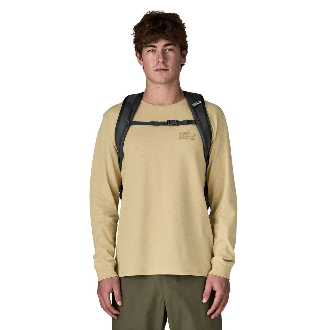 Patagonia Refugio Day Pack 30L