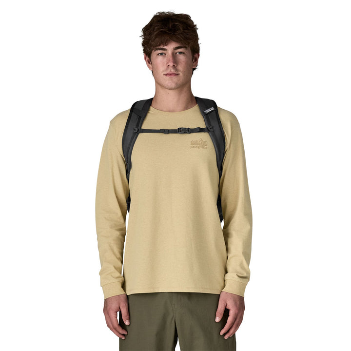 Patagonia Refugio Day Pack 30L