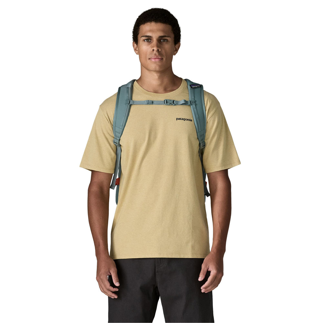Patagonia Refugio Day Pack 30L