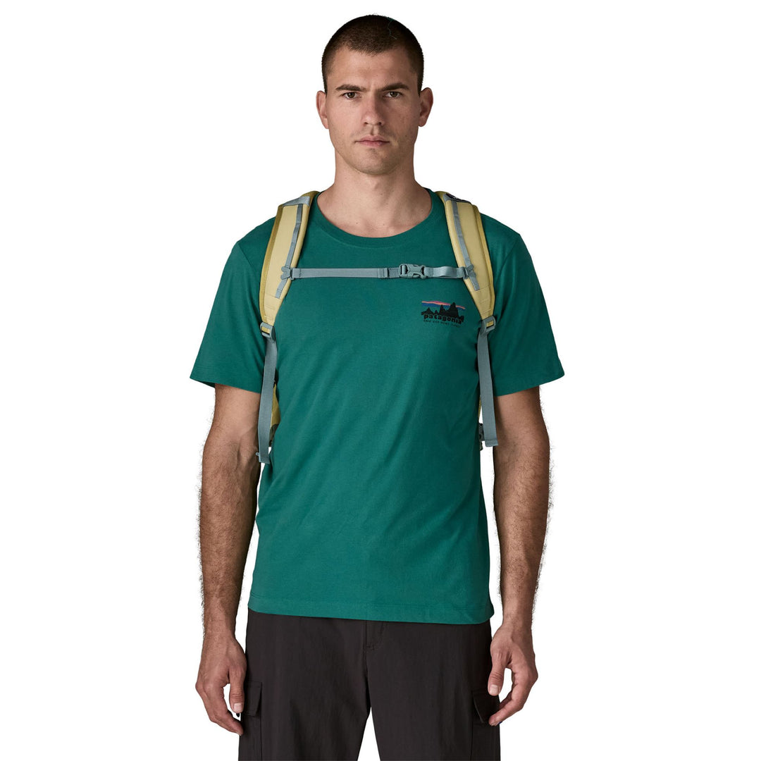 Patagonia Refugio Day Pack 30L