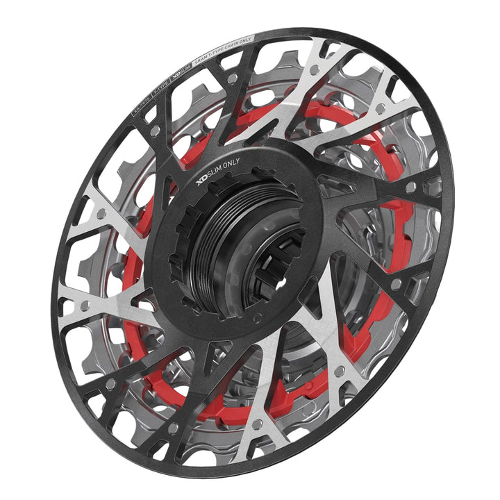 SRAM XX Downhill XS-797 T-Type Cassette - 7-Speed 10-24t For XD Driver Silver