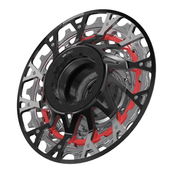 SRAM XX Downhill XS-797 T-Type Cassette - 7-Speed 10-24t For XD Driver Silver