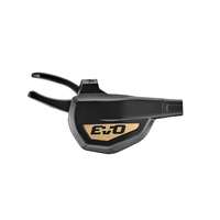 Black / Gold