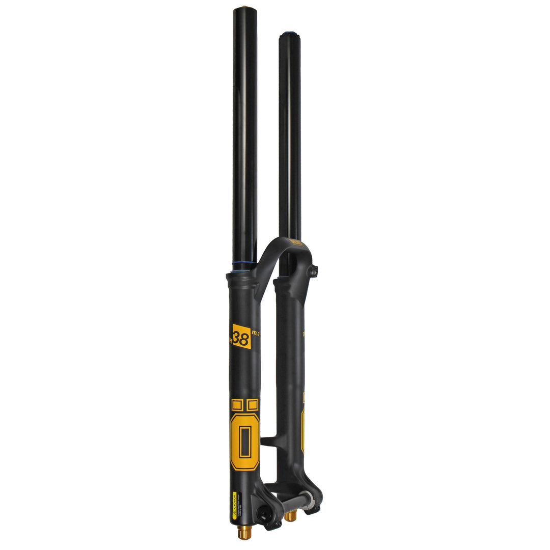Ohlins DH Coil TTX18 Fork 200mm Black 