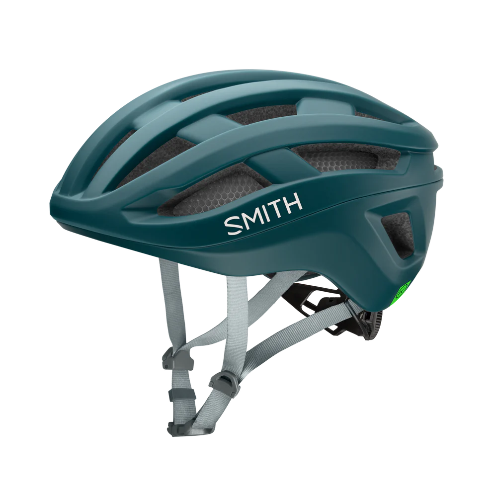 Smith Persist MIPS
