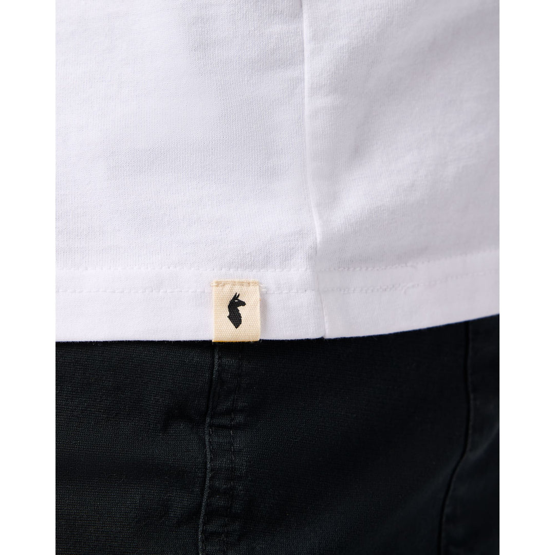 Cotopaxi Mountain Shirt