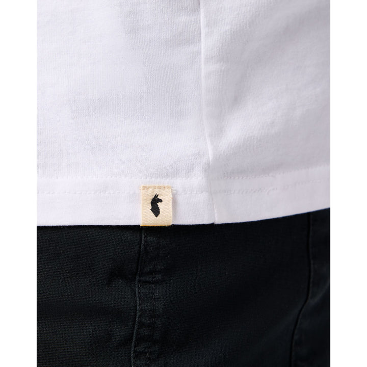 Cotopaxi Mountain Shirt