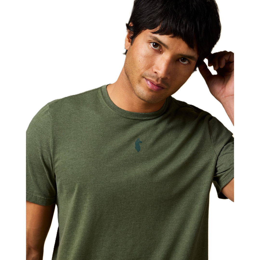 Cotopaxi Llama Icon Shirt