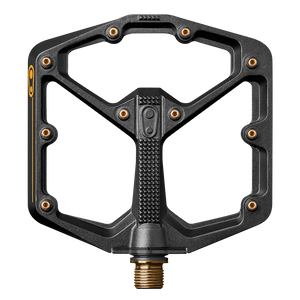 Black / Gold