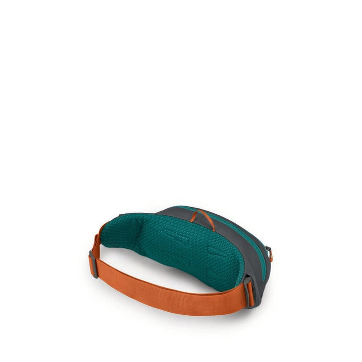 Osprey Daylite Waist