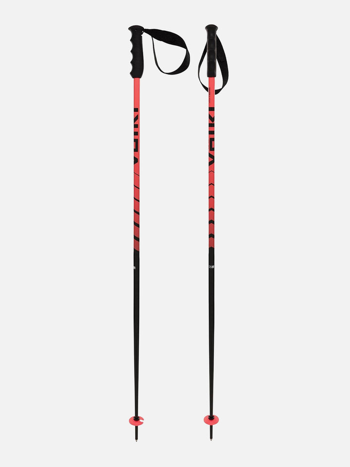 2026 Volkl Speedstick Poles