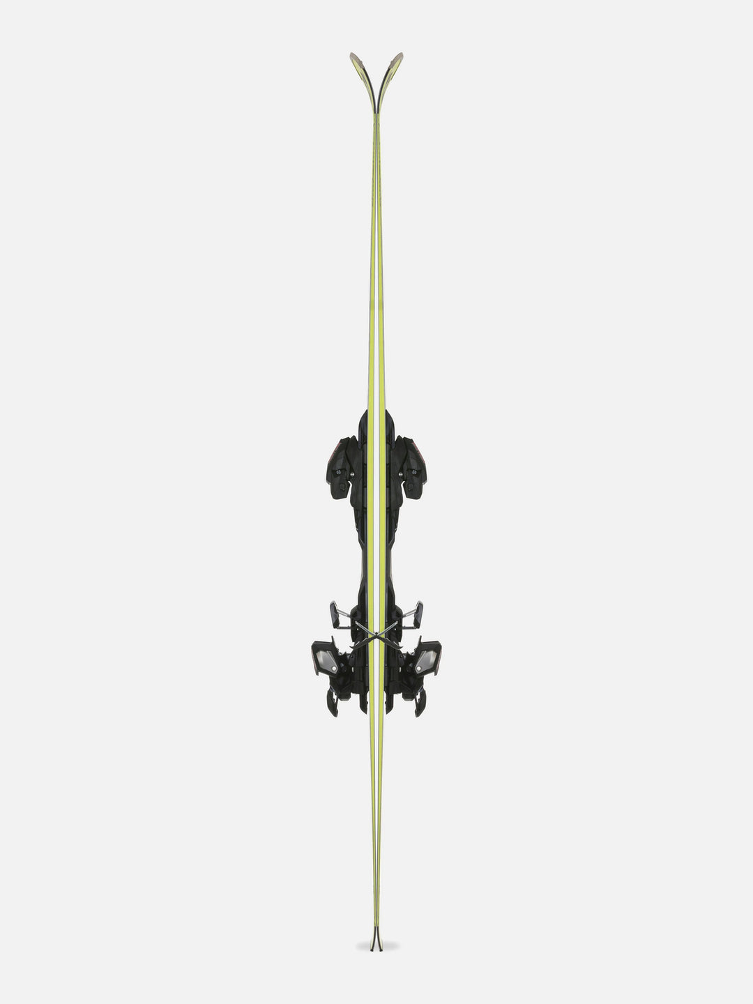 2026 Volkl Racetiger SL Master Wc-Plate