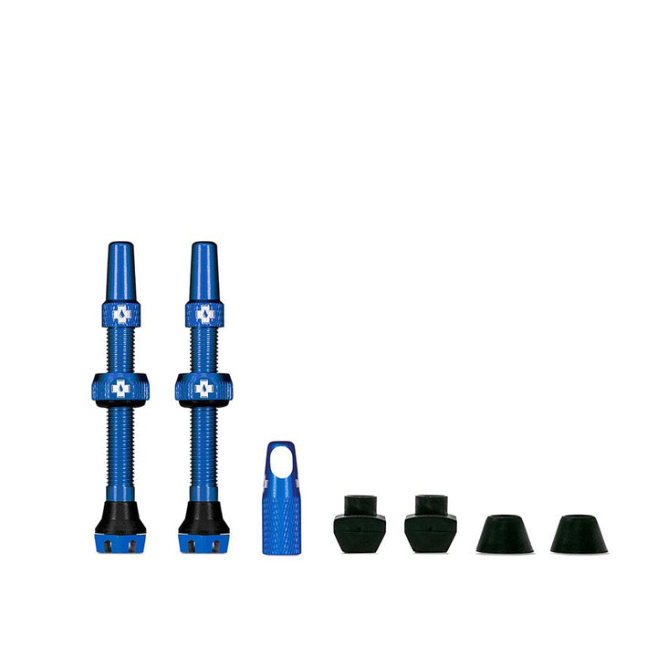 Tubeless Valves, V2