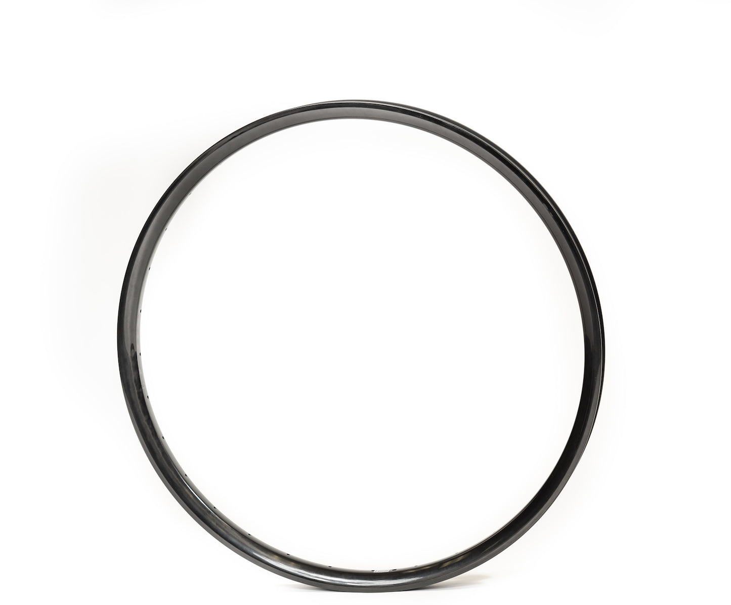 SpokeX - SX310, Carbon Rim