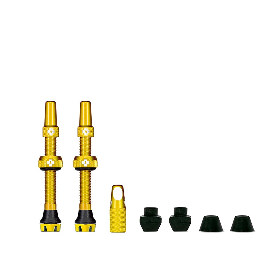 Tubeless Valves, V2