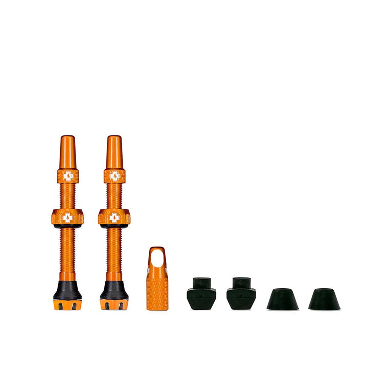 Tubeless Valves, V2
