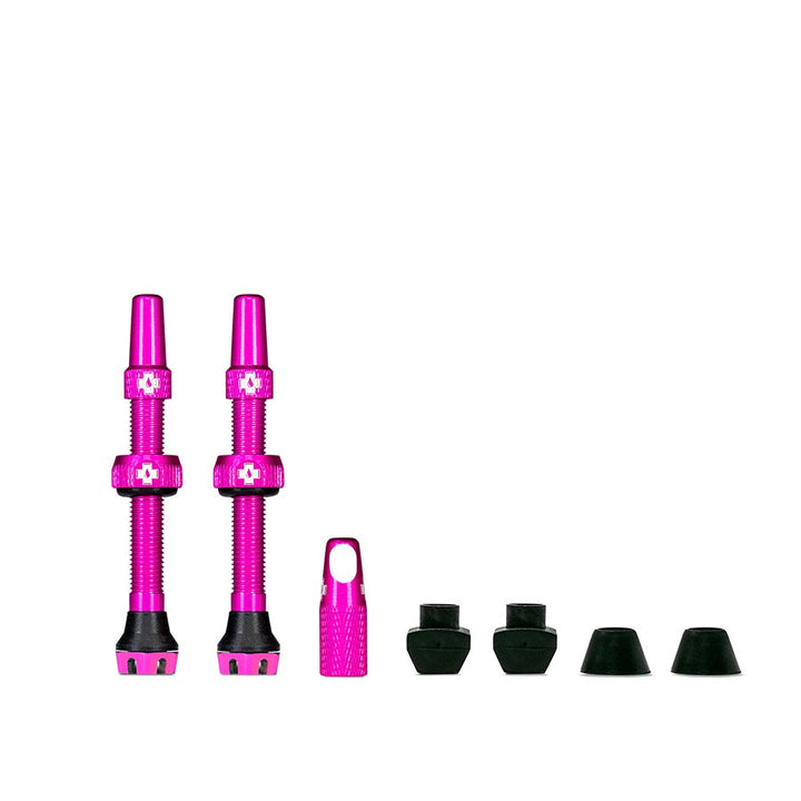 Tubeless Valves, V2