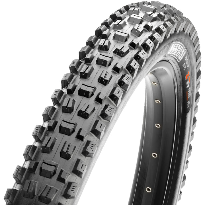 Maxxis Assegai - 3C, MaxxTerra, EXO+, TR, WT