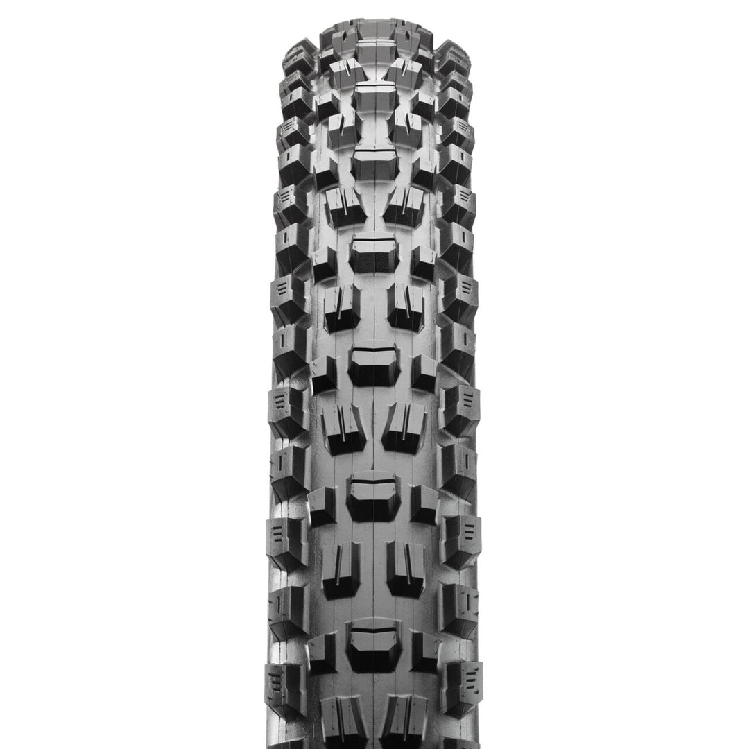 Maxxis Assegai - 3C, MaxxTerra, EXO+, TR, WT
