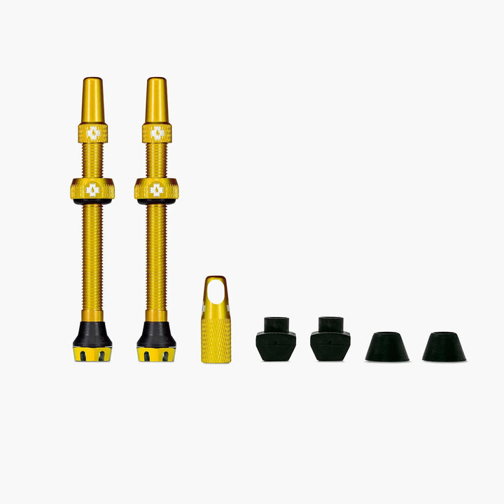 Tubeless Valves, V2