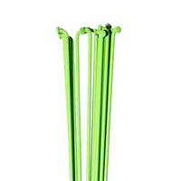 Kawasaki Green