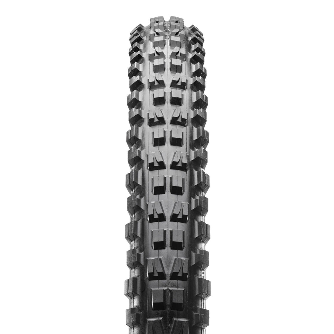 Minion DHF - 3C, MaxxTerra, EXO+, TR, WT