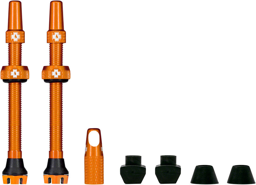 Tubeless Valves, V2